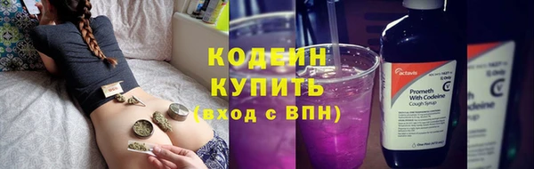 сатива Верея