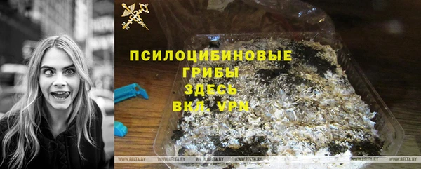 прущие грибы Инта